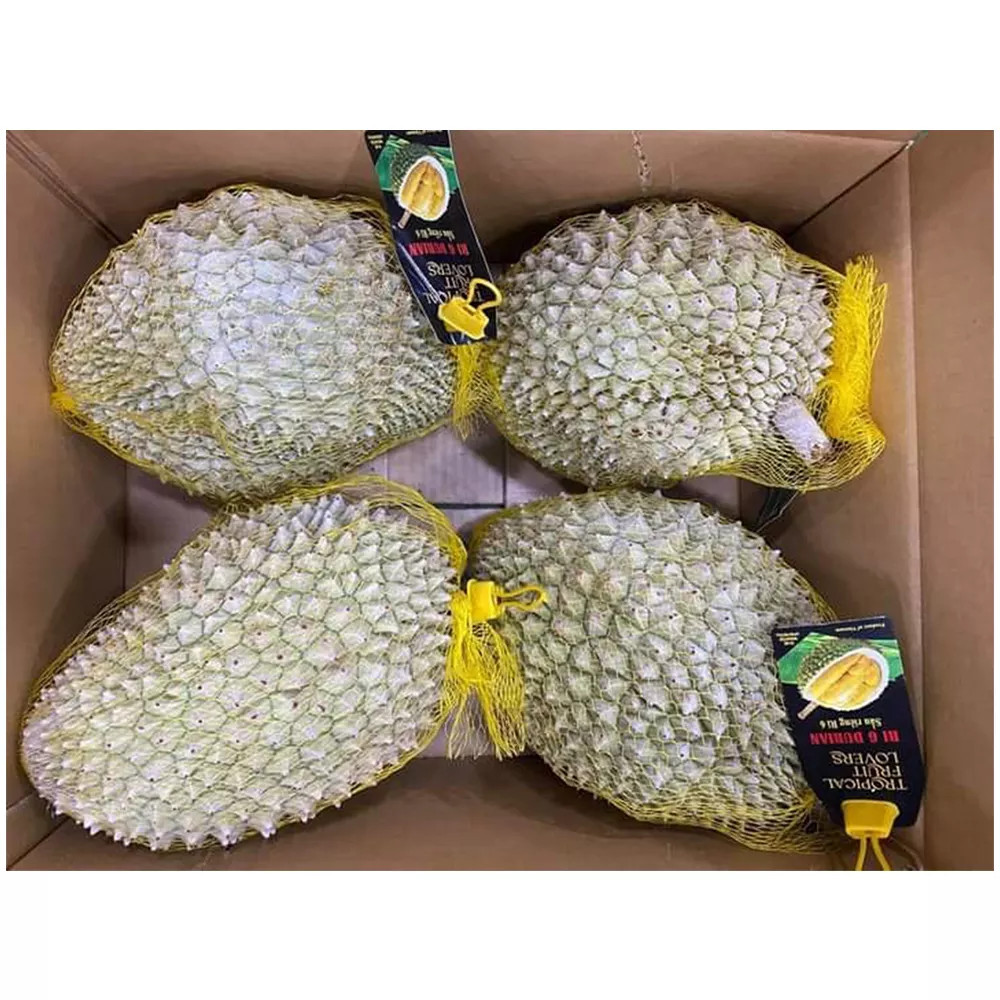 Frozen Durian Whole