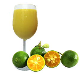 Frozen Calamansi Juice